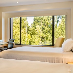 Deluxe_Park_View_Twin_3