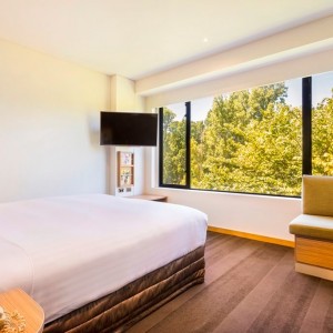 Banner Image_Deluxe_Park_View_Room