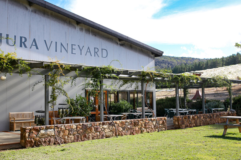 Harvest Festival at Mount Majura Vineyard