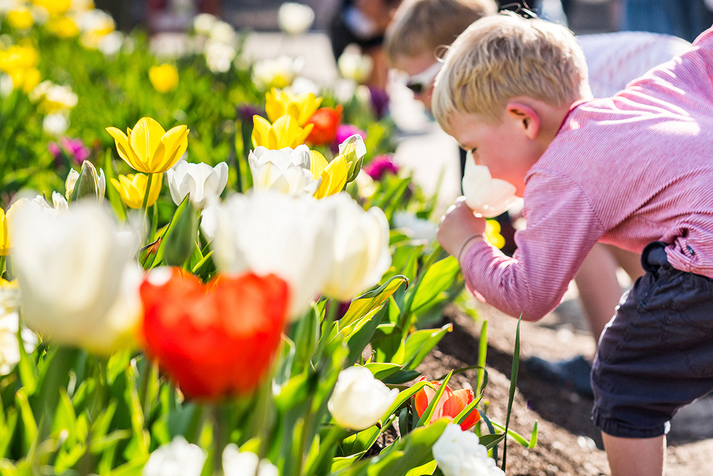 Floriade - VisitCanberra (1024 x 683px) Floriade, @VisitCanberra