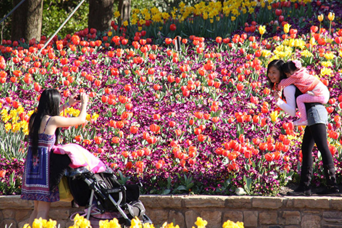 Floriade-in spring, Canberra