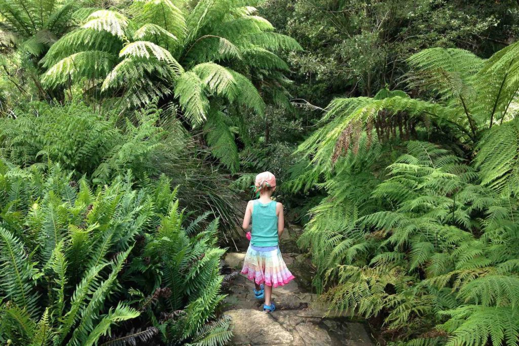 Child standing in garden at Australian National Botanical Gardens Family Activities Canberra