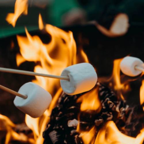 Marshmellows over open fire
